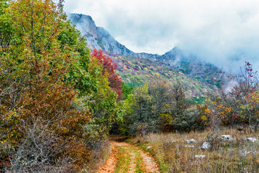 Similar image 21171830