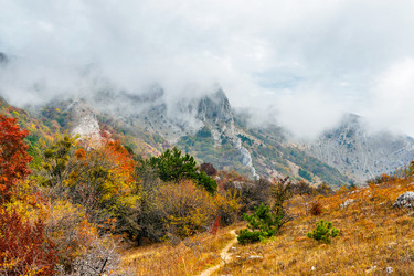 Similar image 21171831