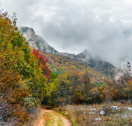 Similar image 21171832