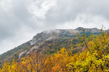 Similar image 21171833