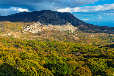 Similar image 21171837