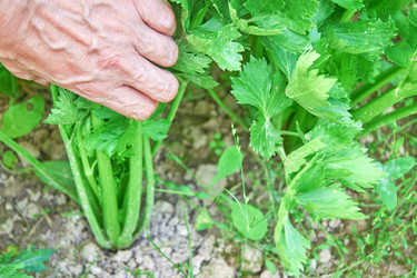 Similar image 21181655