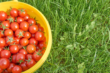 Similar image 21185080