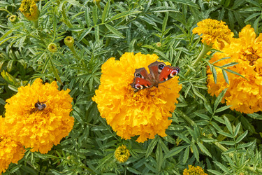 Similar image 21194474