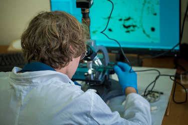 Similar image 21177126