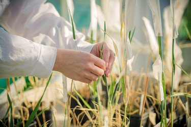 Similar image 21177127