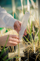 Similar image 21177130