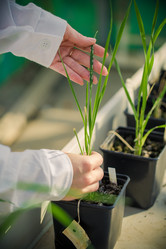 Similar image 21177132