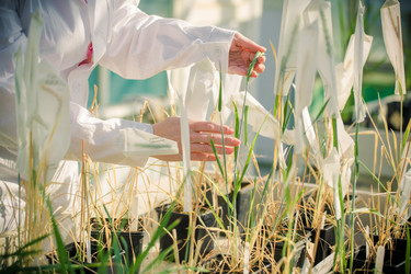 Similar image 21177133