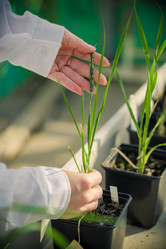 Similar image 21177134