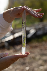 Similar image 21177135