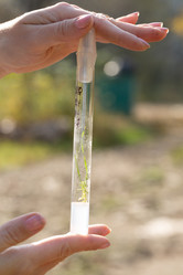 Similar image 21177136