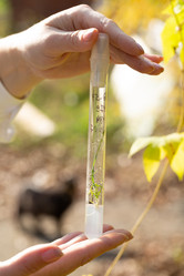 Similar image 21177137