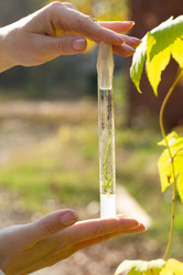 Similar image 21177138