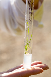 Similar image 21177140