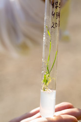 Similar image 21177141