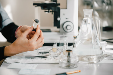 Similar image 21177144