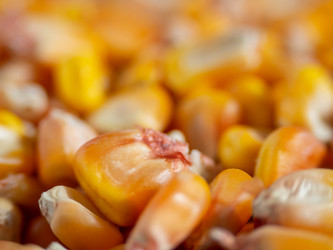 Similar image 21171847