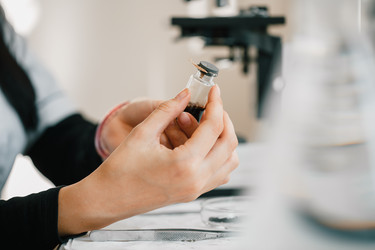 Similar image 21177146