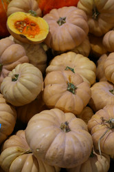 Similar image 21180057