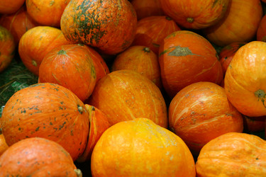 Similar image 21180059