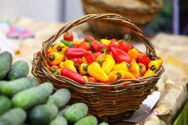 Similar image 21184671