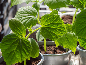 Similar image 21171854