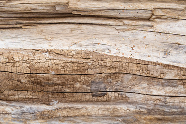 Similar image 21171855