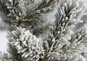 Similar image 21171861