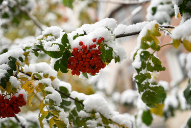 Similar image 21171862