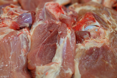 Similar image 21177313