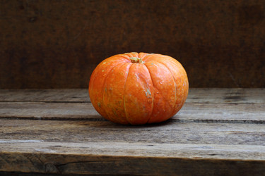 Similar image 21180069