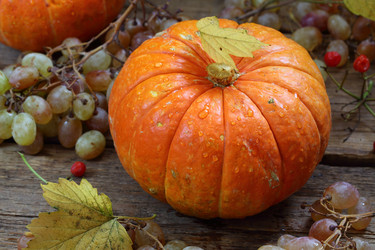 Similar image 21180072