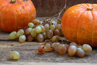 Similar image 21180080