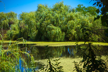 Similar image 21179550