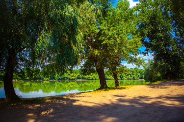 Similar image 21179559