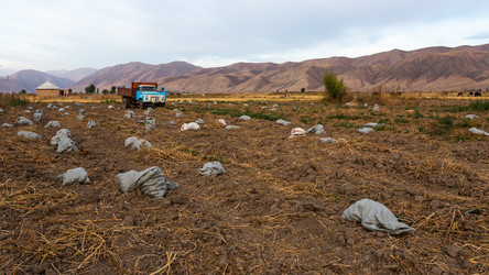 Similar image 21172722