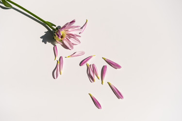 Similar image 21172727