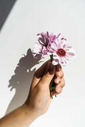 Similar image 21172728