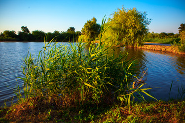 Similar image 21180121