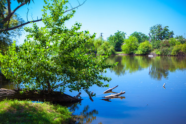 Similar image 21180125