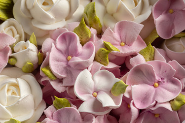 Similar image 21171878