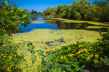 Similar image 21180128