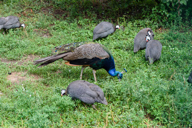 Similar image 21181791