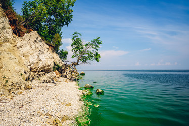 Similar image 21188775