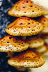 Similar image 21189279