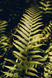 Similar image 21189285