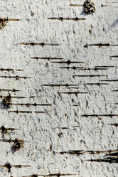 Similar image 21189286