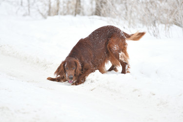 Similar image 21194497