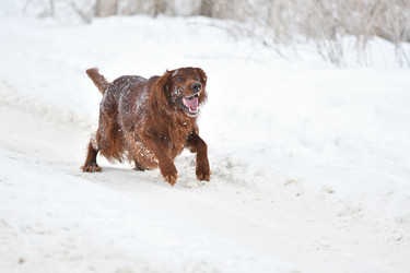 Similar image 21194498